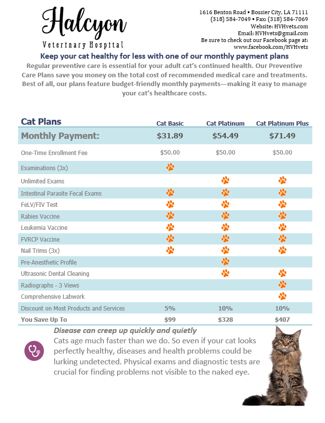 Adult Cat Wellness Plans