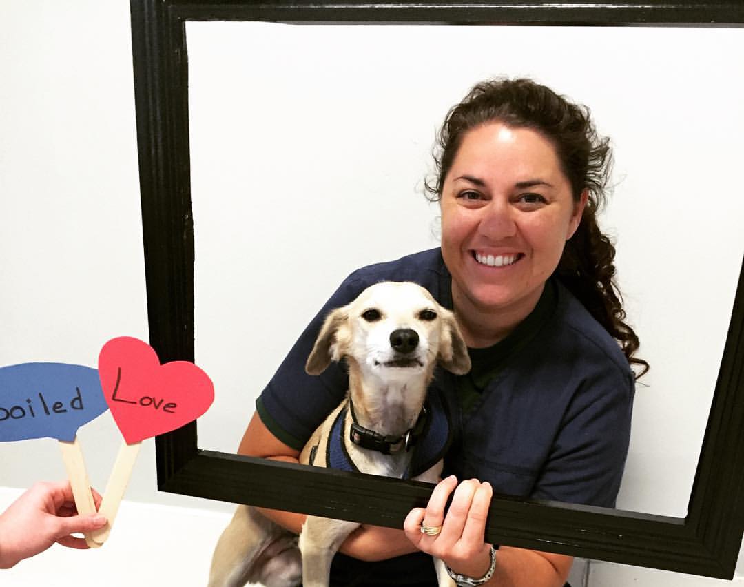  Dr. Sabina Squires DVM, CVA with a dog