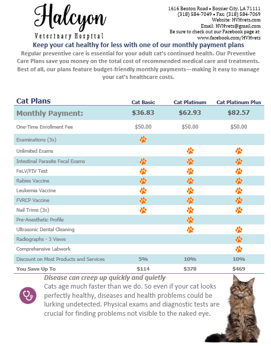 Adult Cat Wellness Plan 2025