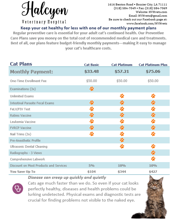 Adult Cat Wellness Plan 2024