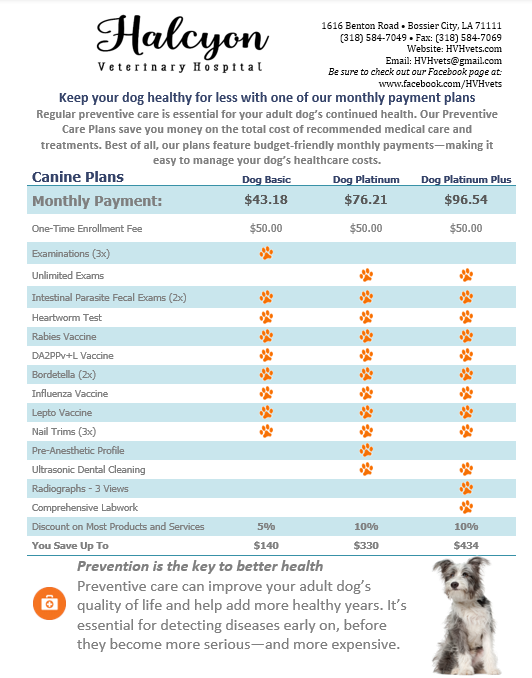 Adult Dog Wellness Plan 2025