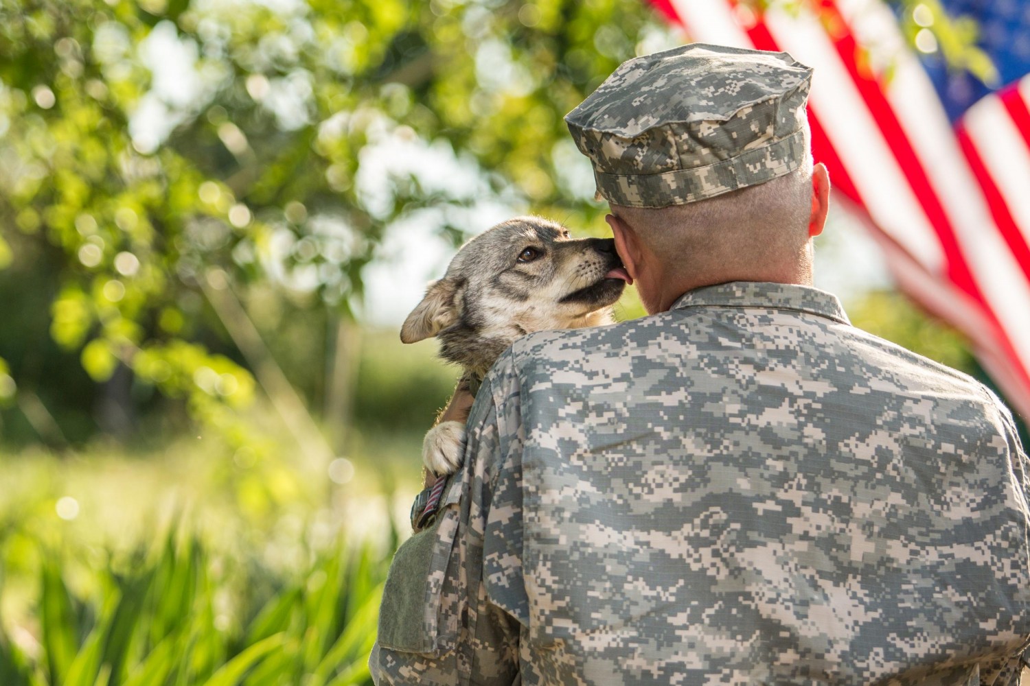 Military Personnel Holding Dog