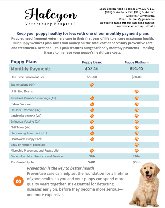 Puppy Wellness Plan 2025