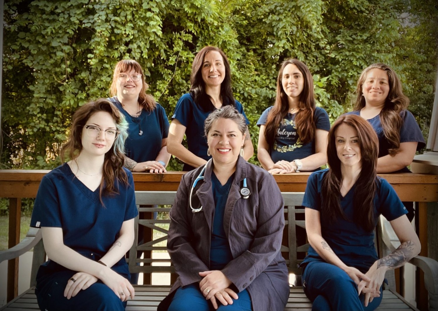 Our Staff at Halcyon Veterinary Hospital